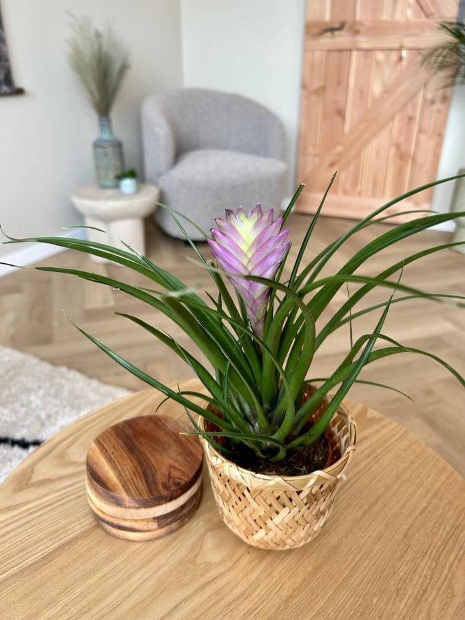 Amsterdam Beach Apartment 33, Private Garden Zandvoort Dış mekan fotoğraf